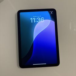 iPad mini 