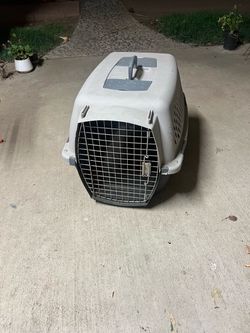 Pet carrier large