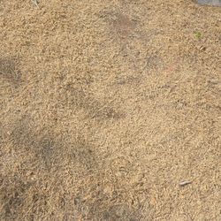 Burial Plot  St. FraneseCemetery 