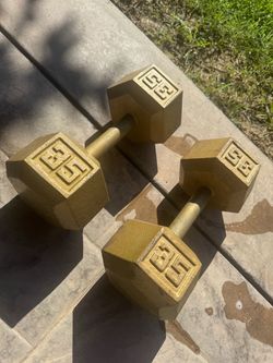 35lb Iron Dumbbells
