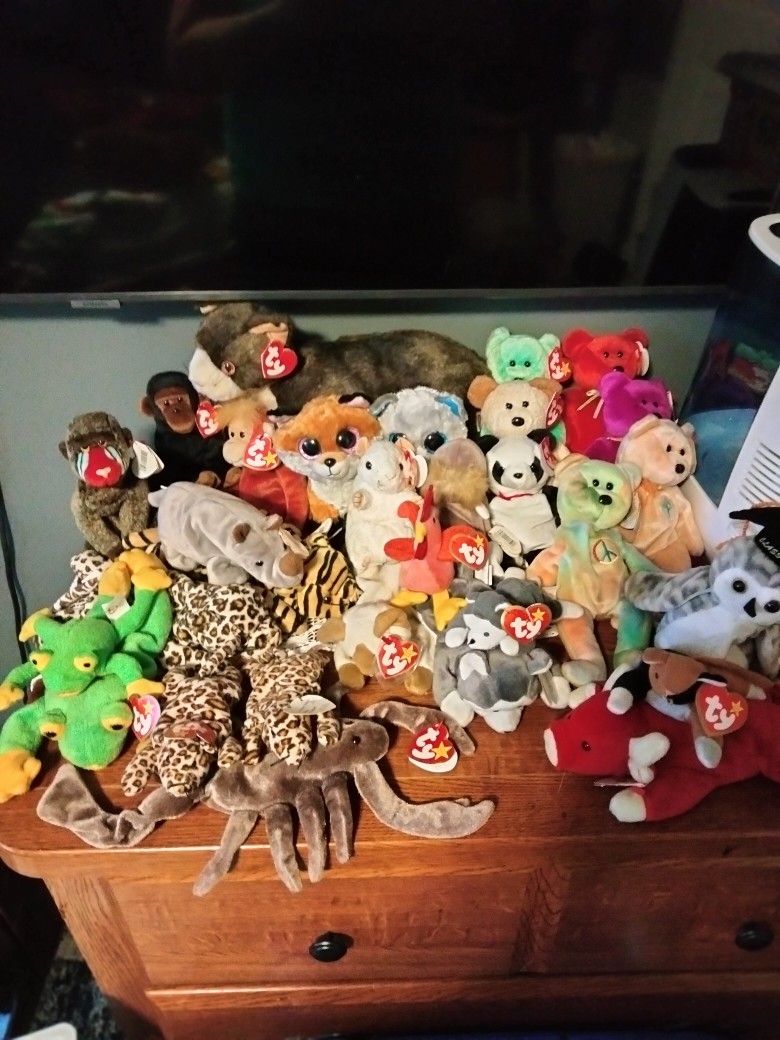 Beanie Baby Collection!!