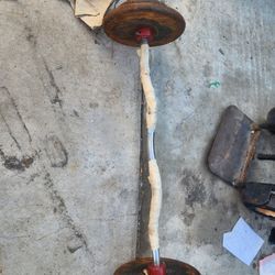 Curl Bar