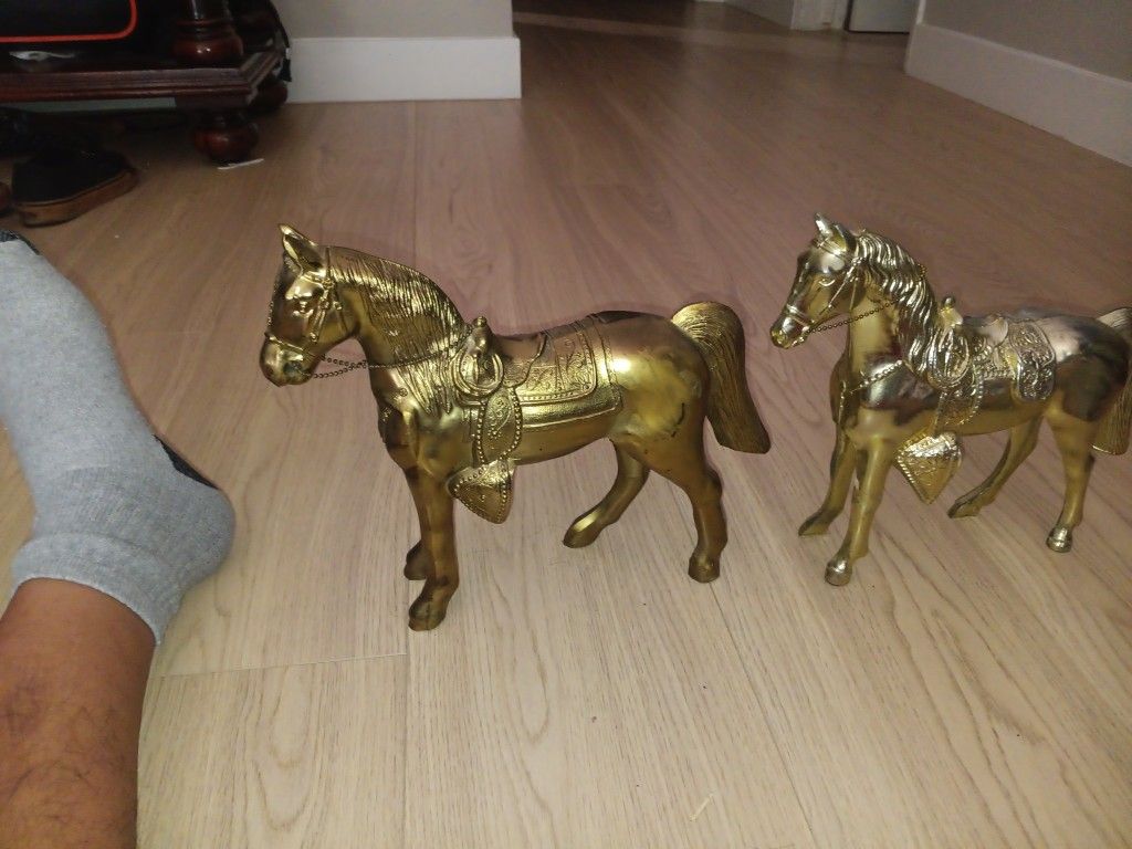 Caballos Ermosos