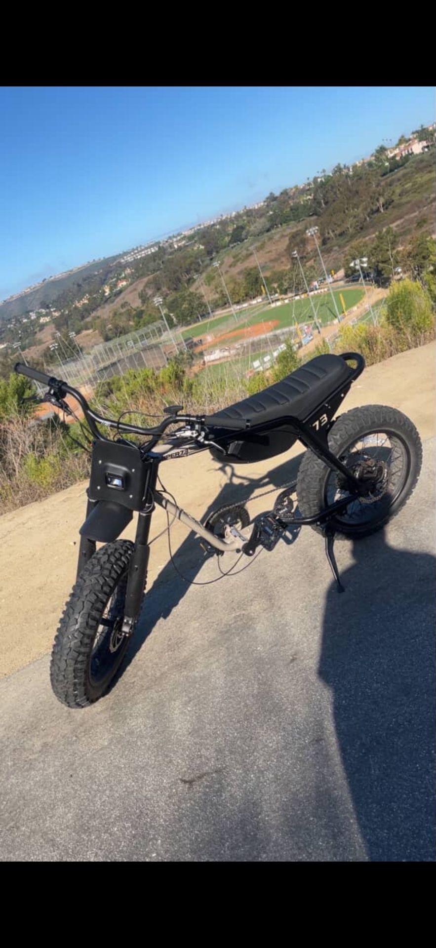 Electric Bike