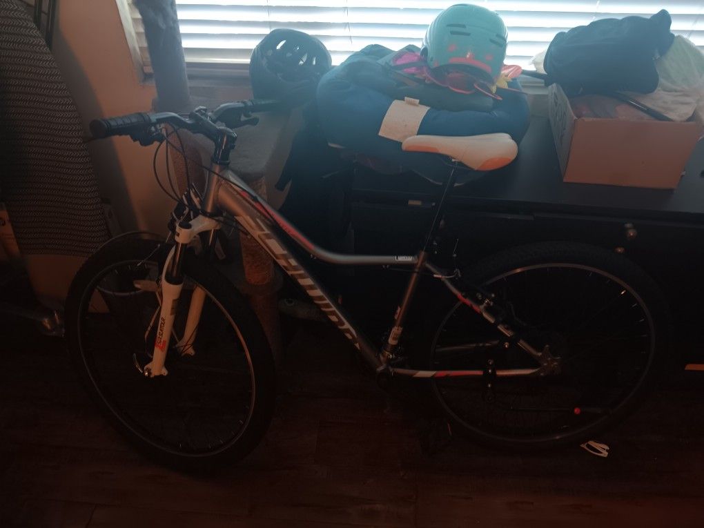 Schwinne Mountain Bike