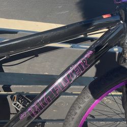 SE Big Flyer Bike 29 Inch