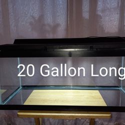20 Gallon Aquarium 