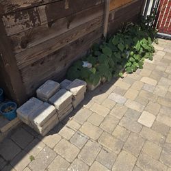 Pavers - used