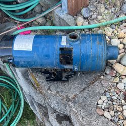 Flint And Walling Water Pump