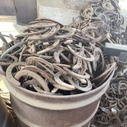 Horse Shoes