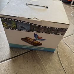 Bird Feeder With Camera Wireless