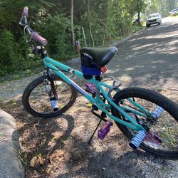 Mongoose Box Bike Modded 