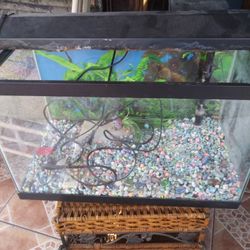 10 Gallons Aquarium