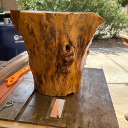 Finished Stump Stool/table
