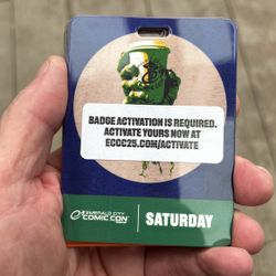 Comic Con Saturday Pass