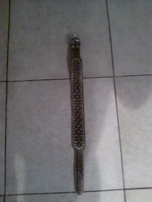 Dog Collar