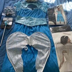 Fairy 🧚‍♀️ Godmother Costume XL