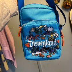 Disneyland Bag