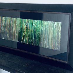 Peter Lik Bamboo