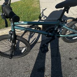 Tony Hawk, Bike Special Edition