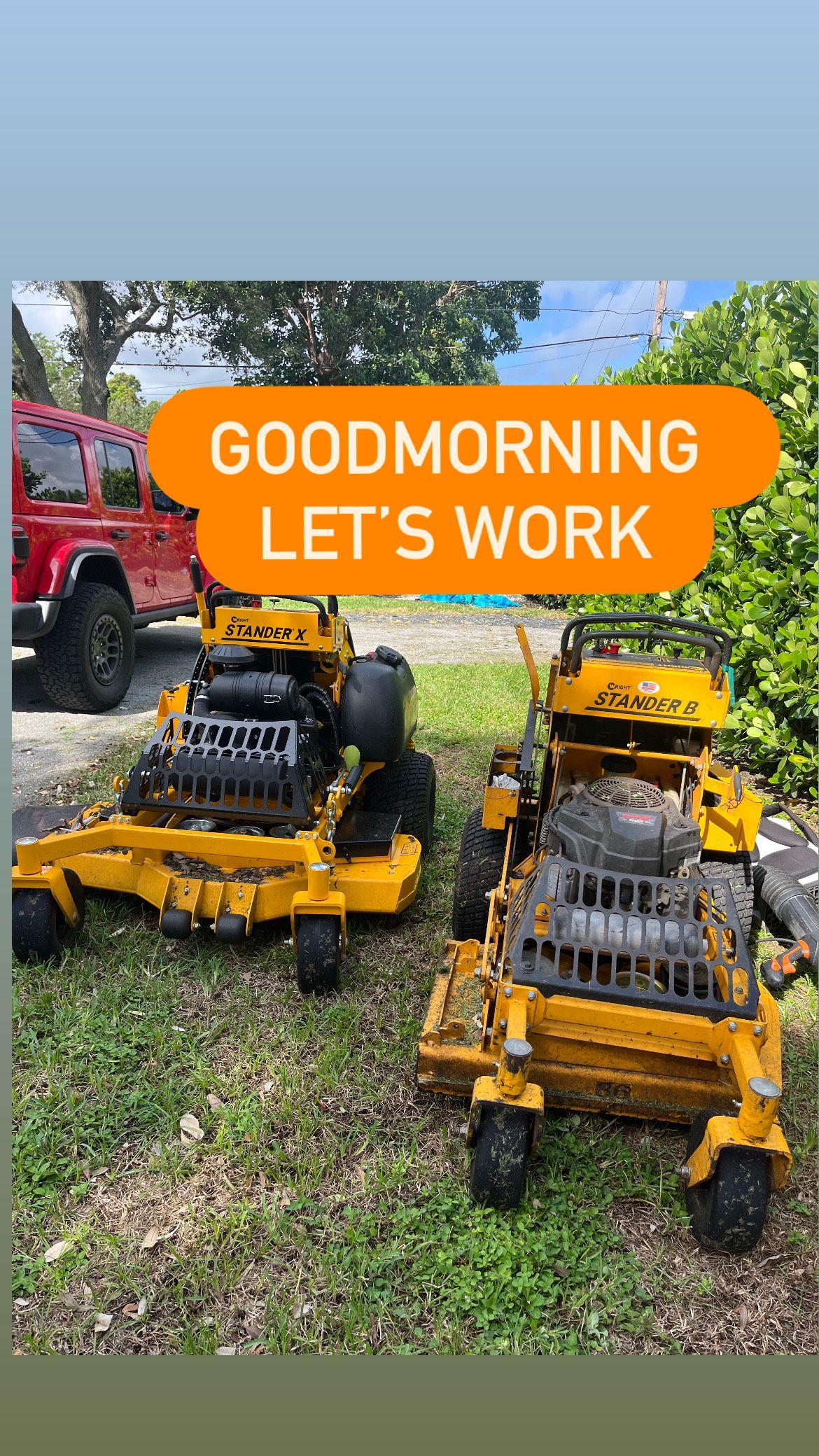 Stump Grinding For Sale
