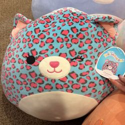 Medium-Giant Squishmellows