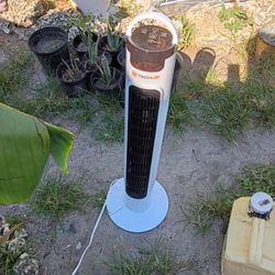 Fan