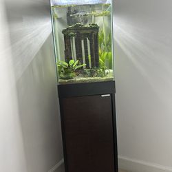 Full Aquarium- Fish Tank Set Up