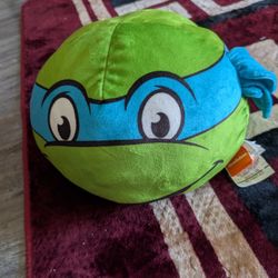 Leonardo Pillow