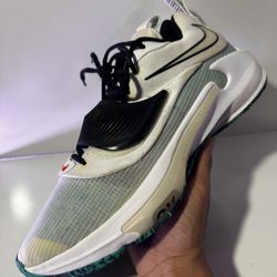 Nike Zoom Freak 3 “N.I.K.E.” Size 14