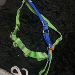 M dog harness
