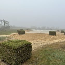 Grass Sod 