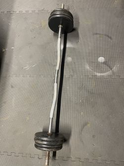 Weight Plates / Curl Bar. 60 Dollars