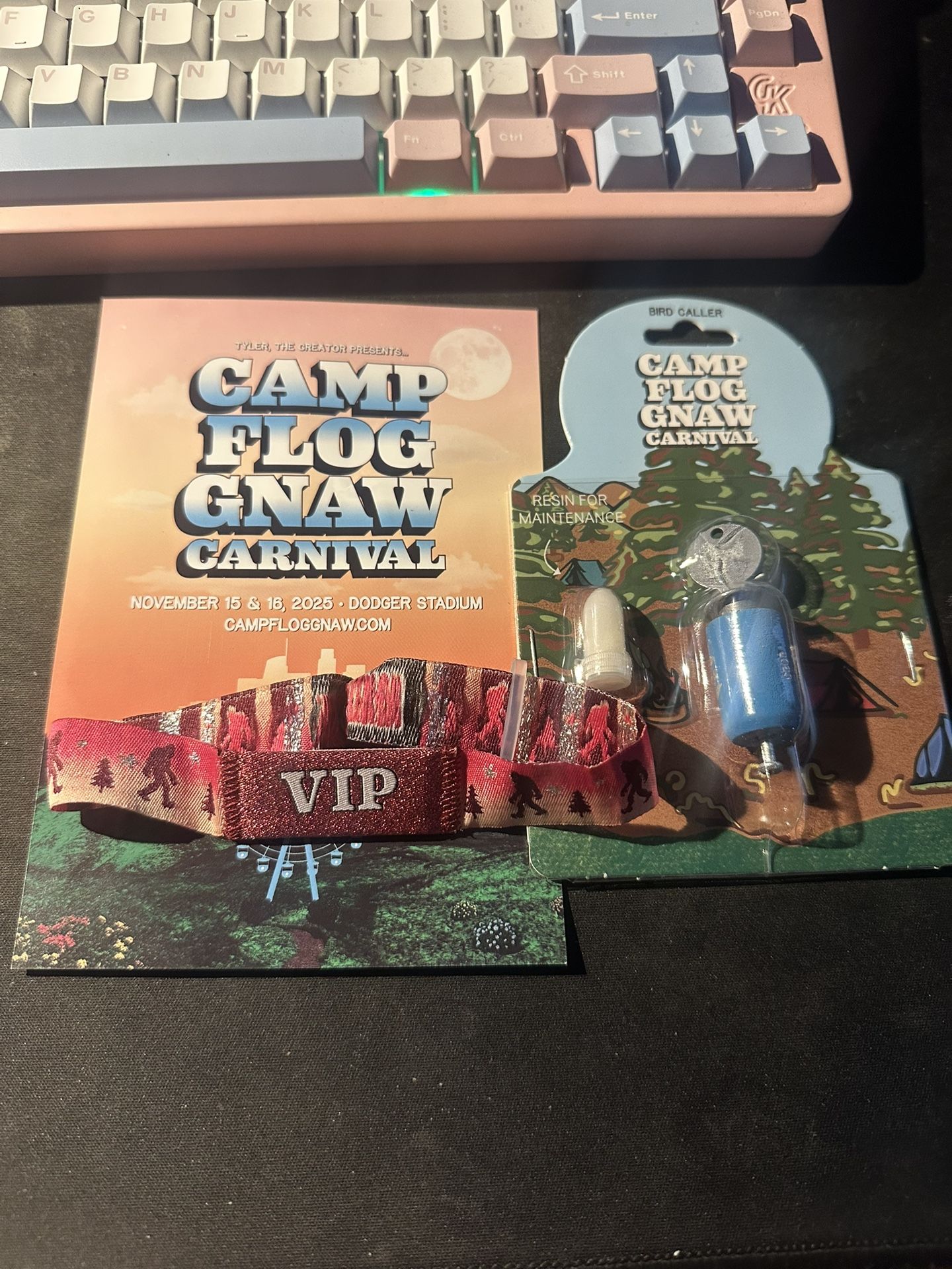 Camp Flog Gnaw