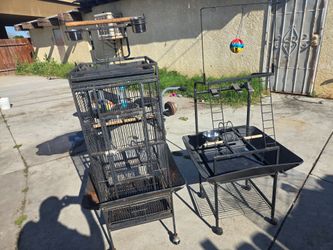 Bird cage and stand