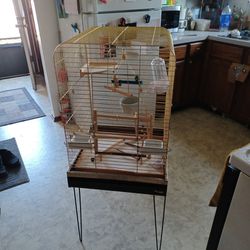 Bird Cage 