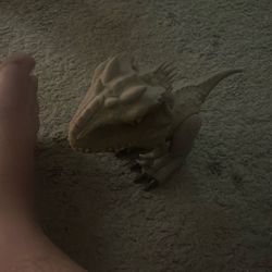 Indoinus Rex 