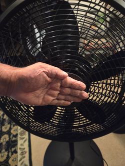 Large Lasko Fan