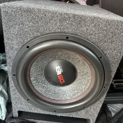 Ds18 12” Subwoofer 