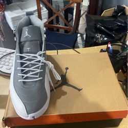 Air Jordan Retro 12 “Stealth”