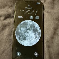 Iphone 12 Pro Max 256gb