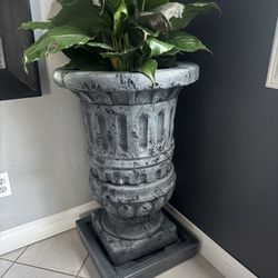Large Pot $150