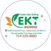 EKT Nursery 