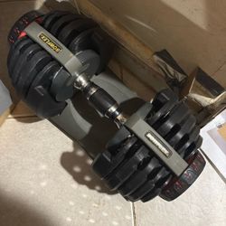 Bowflex Adjustable Weights