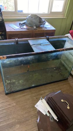 75 gallon fish tank