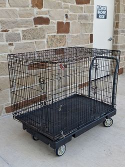 XL Crate Double Door Folding Dog Crate, 42" L X 28" W X 30" H