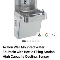 Avalon Wall Mounted Water Fountain with Bottle Filling Station