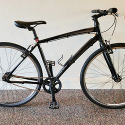 Diamondback Insight 19"