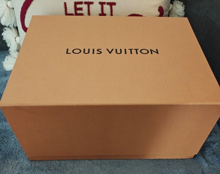 Louis vuitton Purse
