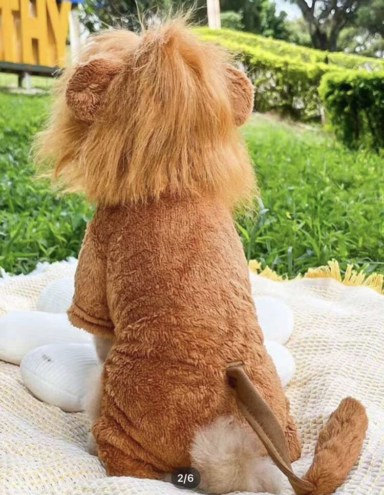 Dog Or Cat lion costume